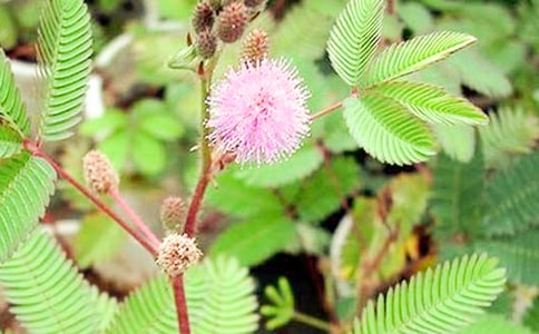 ���߲����ġ��؂䡿