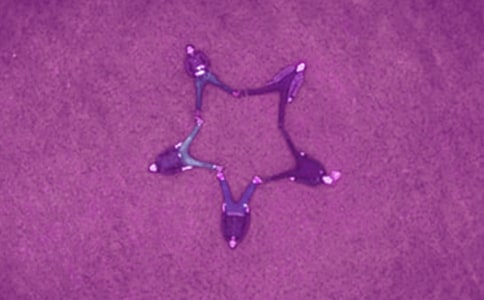 �o�H������������ף���Z