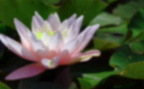 �ɻ����茑����Ԋ��