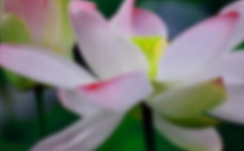 �茑�ɻ�������