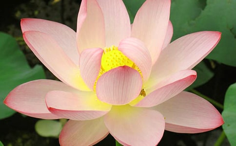 ���]���茑�ɻ�������