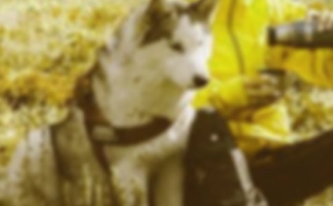 城市發展與和諧社會構建