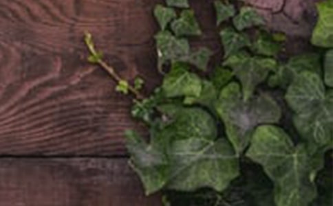 和諧優(yōu)秀作文