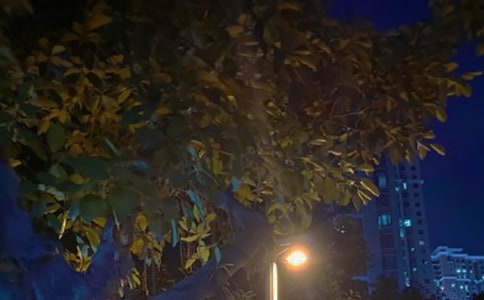 我戰(zhàn)勝黑夜作文