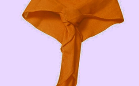 紅領巾一星章方案