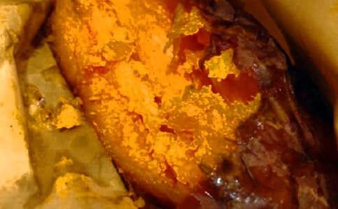 (優選)烤紅薯作文