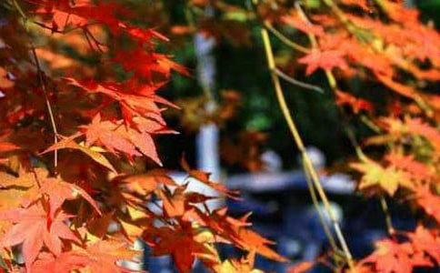 ���ݼt�~��Ԋ�~���x