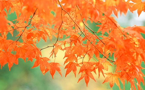 �]ɽ�t�~ -�Y��