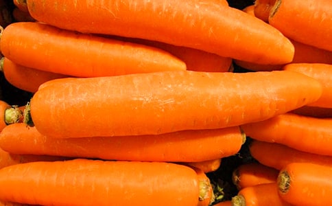 胡蘿卜先生的長胡子作文15篇(熱)