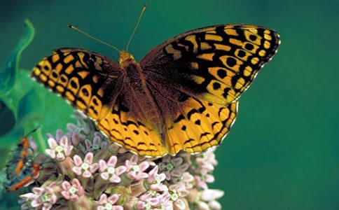 ��������ϱ��������֣��ϱ��������ֵ�����