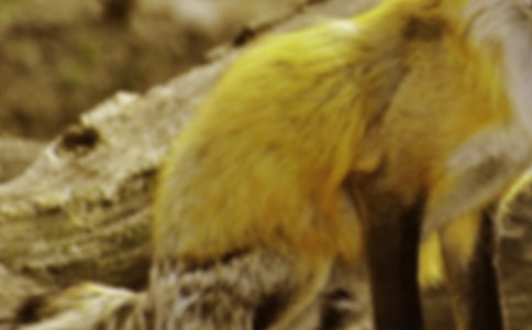 �˲����؂�ְ��ֳ����(n��i)��