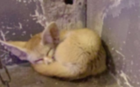 С��؂�όW���D��Ԓ(ͨ��15ƪ)