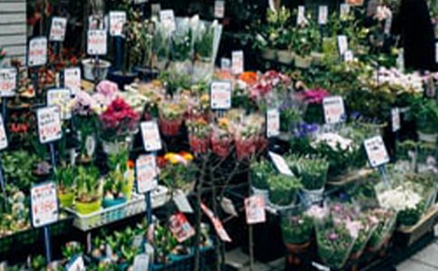 精選花店創業計劃書