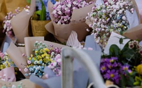 ���ꌍ�����Y���ģ����x10ƪ��