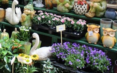 網(wǎng)上花店創(chuàng)業(yè)計(jì)劃書詳細(xì)范文(2)