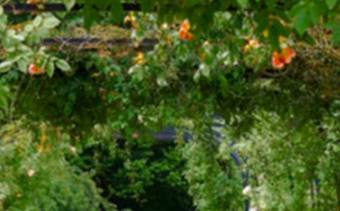 С�^�Ļ��@����