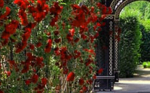 �����Ļ��@����