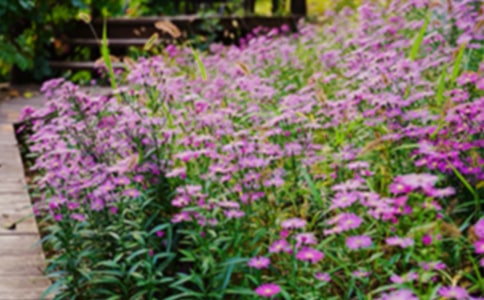 С���@����300�֣����x50ƪ��