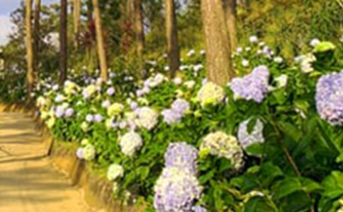 ���˵Ļ��@������