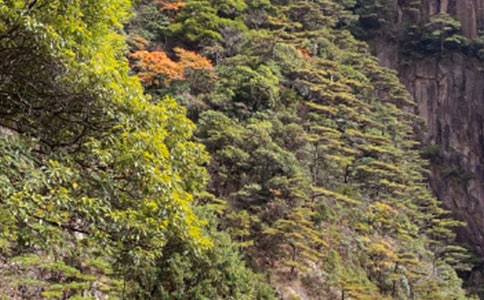 贊美黃山的詩句220句