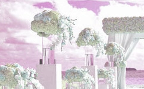 婚禮致辭范文(精選8篇)