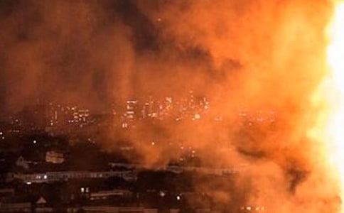 預(yù)防森林火災(zāi)作文