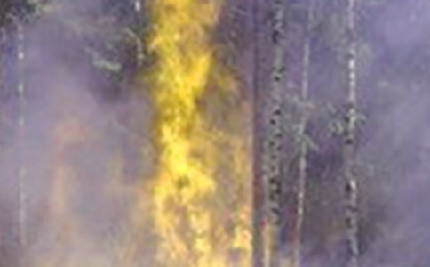 今冬明春火災(zāi)防控方案范文