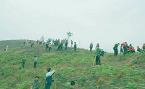 祭祖祭文(精選11篇)