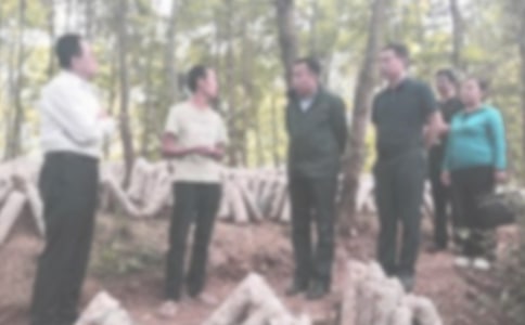 違紀檢討書范文