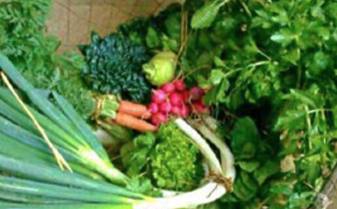 ��W������������ӿ��Y����15ƪ