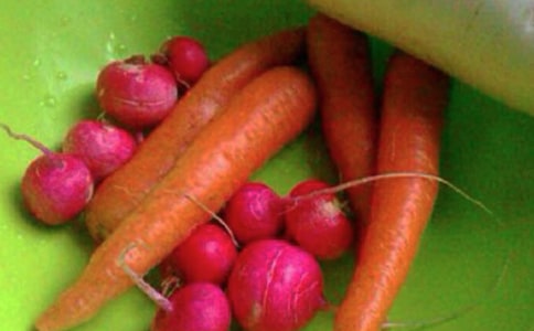 大學生的心理健康日活動總結