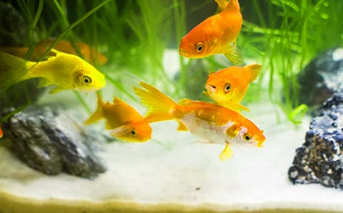 ���~������