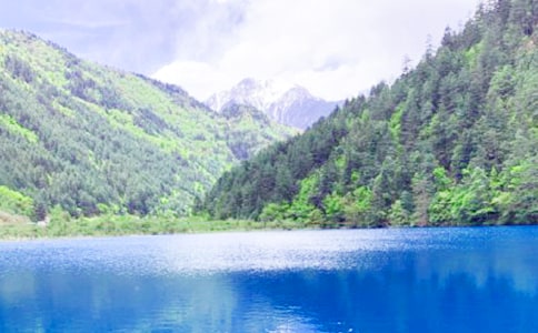 ���g�ɾ���կ������