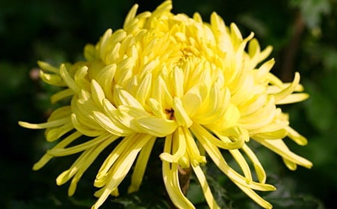 �ջ�Ԋ��ժ�������x190�䣩