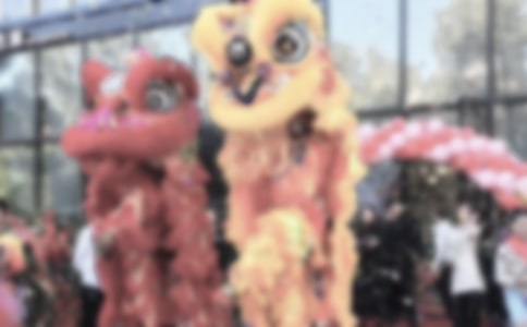 �P���_�I�c����Ո��