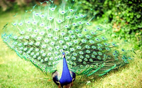 ��ȸ�|���w�x���400��