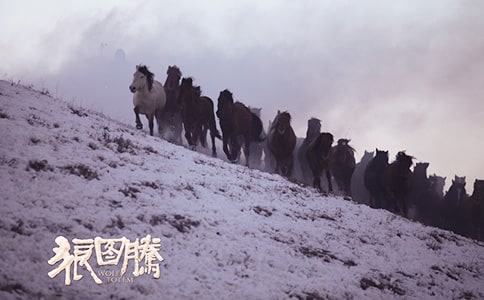 神圣的狼圖騰_700字