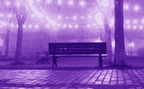 ʷ����������������|������