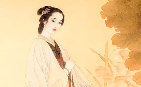 �����������е�����������