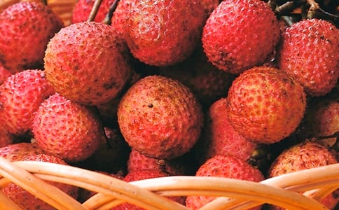 詠荔枝原文賞析