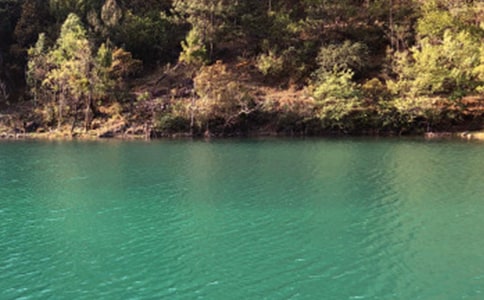 游麗江古城作文