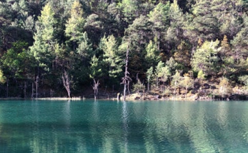 麗江古城導游詞