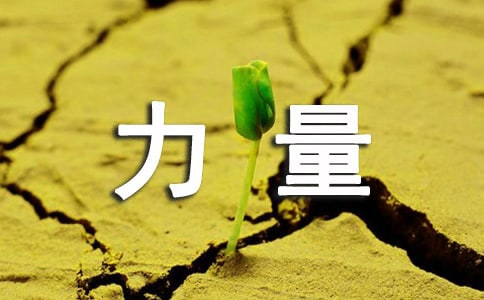 【精品】榜樣的力量作文