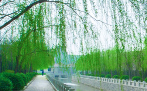 ���]�茑�����Ԋ��