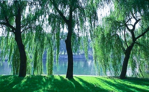 С�����С�����f�n��