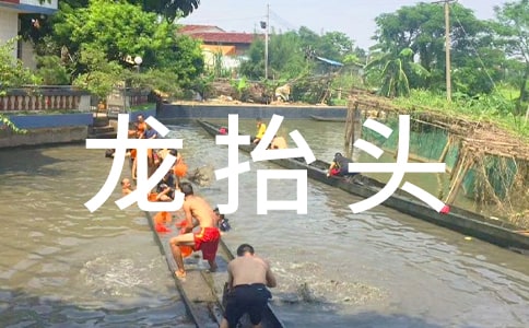 送給客戶的二月二龍?zhí)ь^祝福語170句