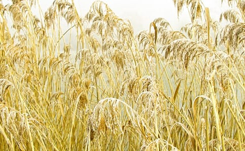 ��߅���JȔ����