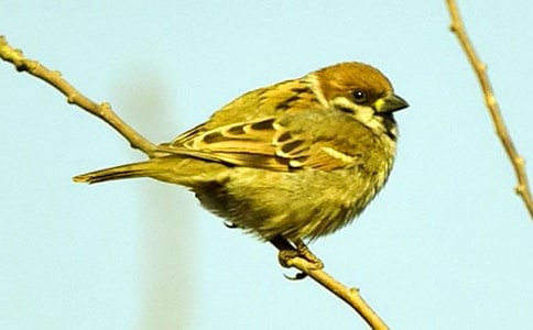 С��ȸ����[�]]