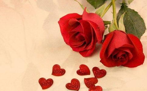 關于玫瑰花的句子