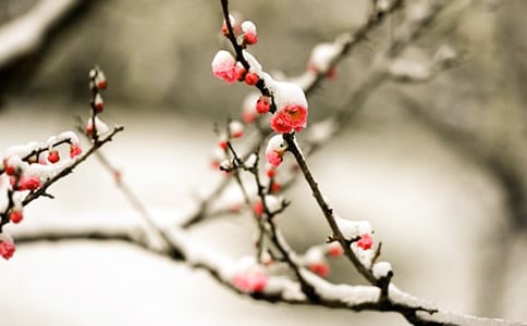 ��ѩٝ��÷����Ԋ��